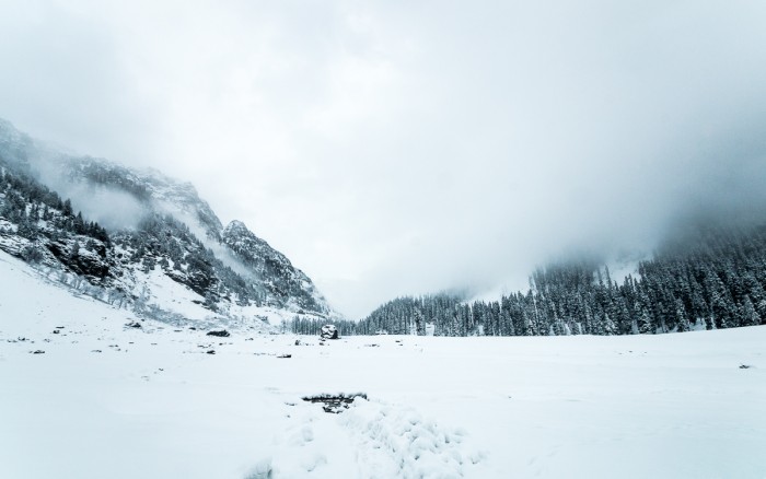 Winter whiteout in Lidderwat