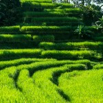 2 of the best places in Bali to reach early to avoid the crowd