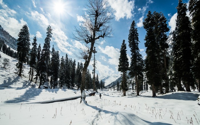 Whiteout in lidderwat, Kashmir