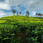 Riding a bike into God’s own country, Kerala