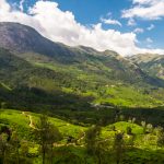 Why do we keep visiting Kerala?